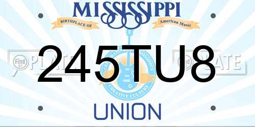 245TU8 Mississippi License Plate