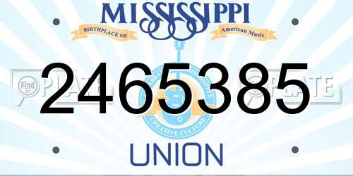 2465385 Mississippi License Plate