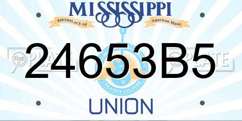 24653B5 Mississippi License Plate