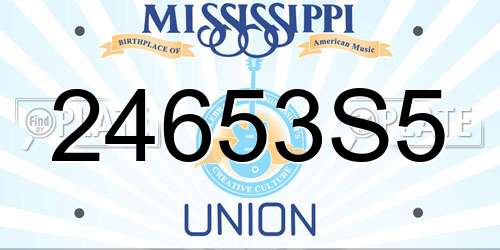 24653S5 Mississippi License Plate