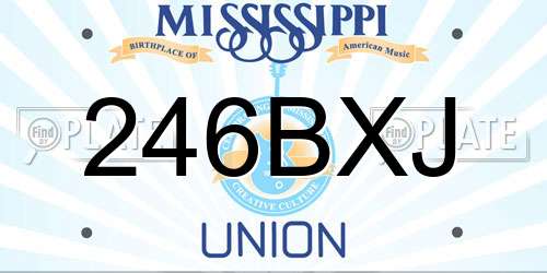 246BXJ Mississippi License Plate