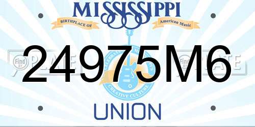 24975M6 Mississippi License Plate