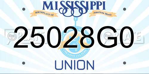 25028G0 Mississippi License Plate