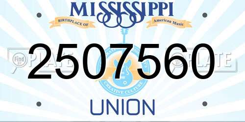 2507560 Mississippi License Plate