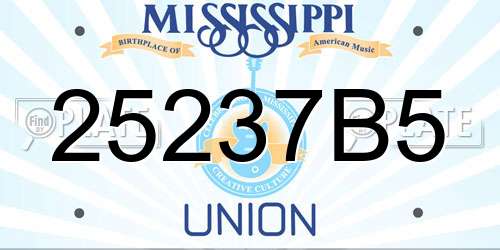 25237B5 Mississippi License Plate