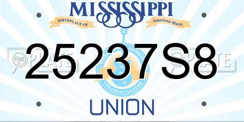 25237S8 Mississippi License Plate