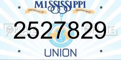 2527829 Mississippi License Plate