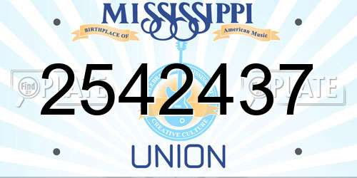 2542437 Mississippi License Plate