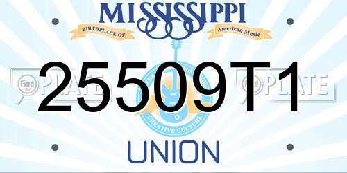 25509T1 Mississippi License Plate