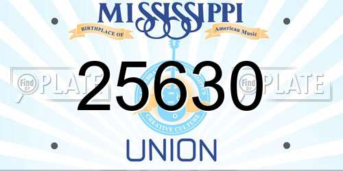 25630 Mississippi License Plate