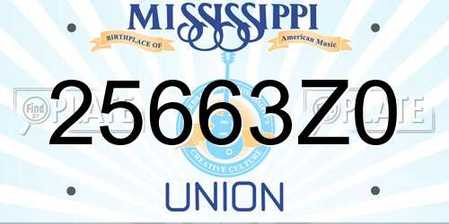 25663Z0 Mississippi License Plate