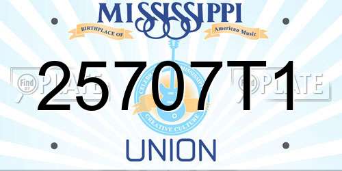 25707T1 Mississippi License Plate