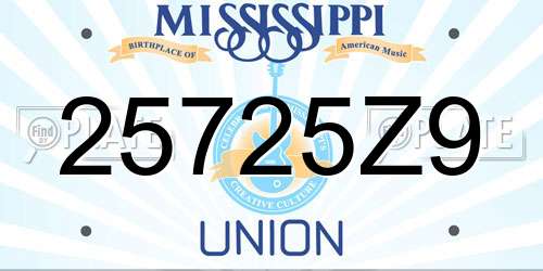 25725Z9 Mississippi License Plate