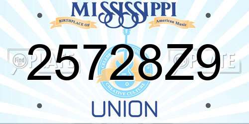 25728Z9 Mississippi License Plate