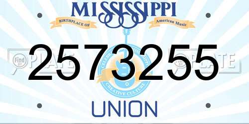 2573255 Mississippi License Plate