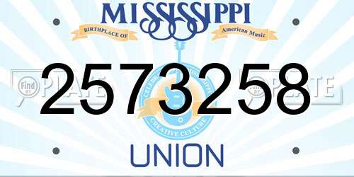 2573258 Mississippi License Plate