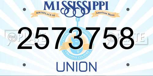 2573758 Mississippi License Plate