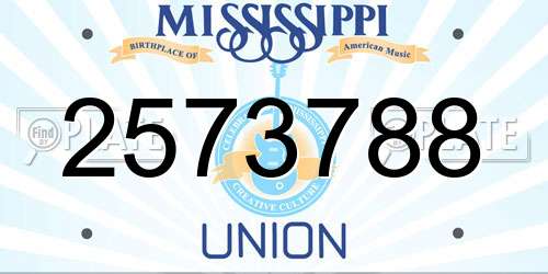 2573788 Mississippi License Plate