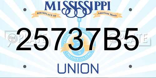 25737B5 Mississippi License Plate