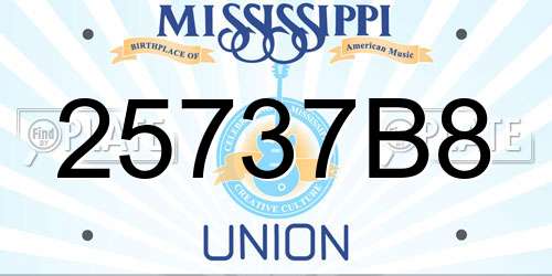 25737B8 Mississippi License Plate