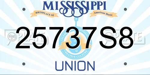 25737S8 Mississippi License Plate