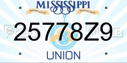 25778Z9 Mississippi License Plate