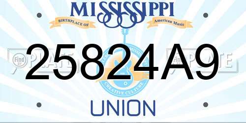25824A9 Mississippi License Plate