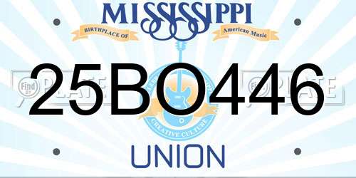 25BO446 Mississippi License Plate