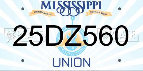 25DZ560 Mississippi License Plate