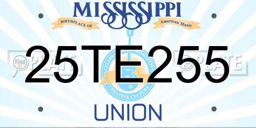 25TE255 Mississippi License Plate
