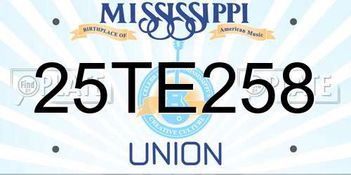 25TE258 Mississippi License Plate