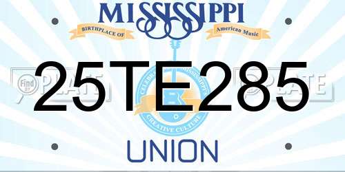 25TE285 Mississippi License Plate