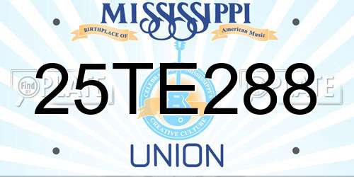 25TE288 Mississippi License Plate
