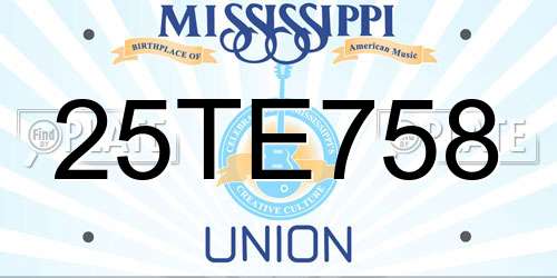 25TE758 Mississippi License Plate