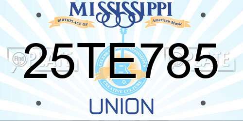 25TE785 Mississippi License Plate