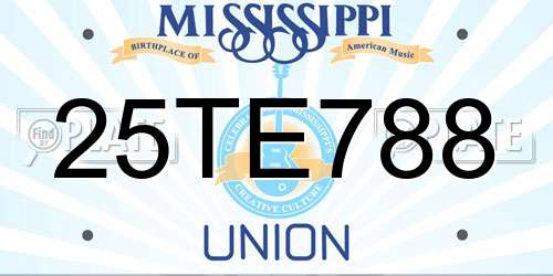 25TE788 Mississippi License Plate
