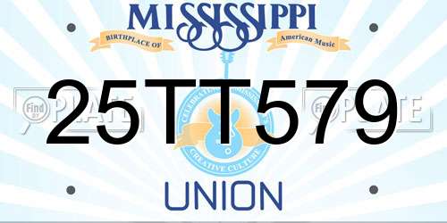 25TT579 Mississippi License Plate