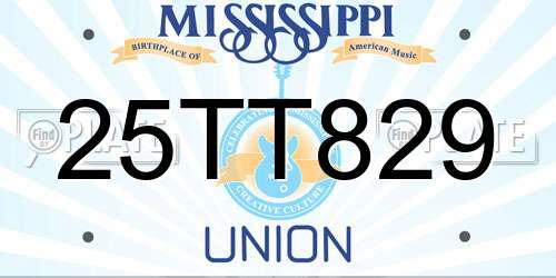 25TT829 Mississippi License Plate