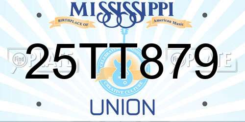 25TT879 Mississippi License Plate