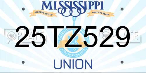 25TZ529 Mississippi License Plate