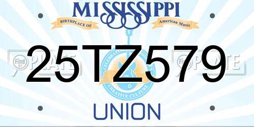 25TZ579 Mississippi License Plate