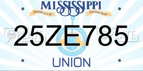 25ZE785 Mississippi License Plate