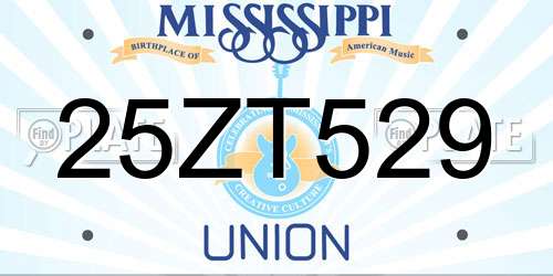 25ZT529 Mississippi License Plate