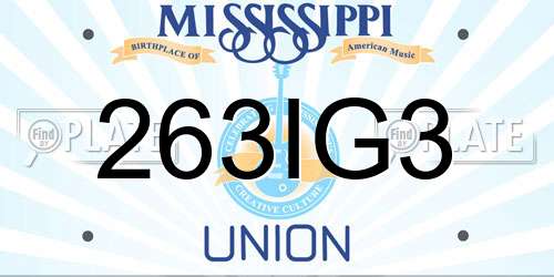 263IG3 Mississippi License Plate