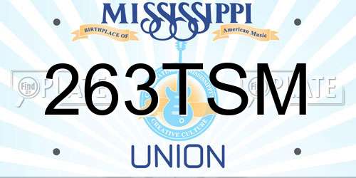 263TSM Mississippi License Plate