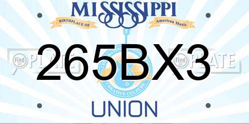 265BX3 Mississippi License Plate