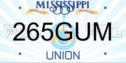 265GUM Mississippi License Plate