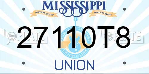 27110T8 Mississippi License Plate