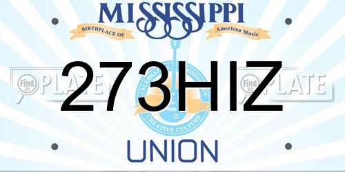 273HIZ Mississippi License Plate