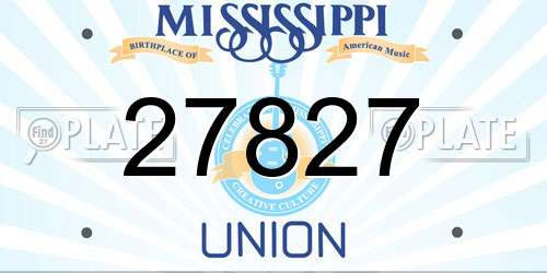 27827 Mississippi License Plate